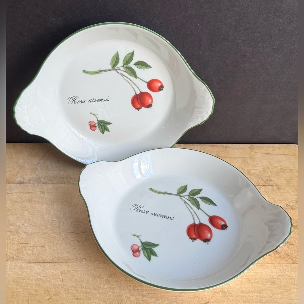 (2) Vintage Apilco France Elysian Gardens Individual Porcelain Au Gratin Dishes